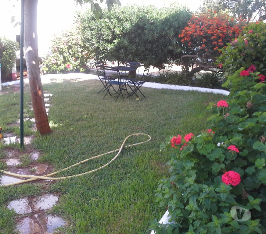 location saisonniere Espagne - Photos Vivastreet APPARTEMENT DANS VILLA A VINAROS PRES DE PENISCOLA