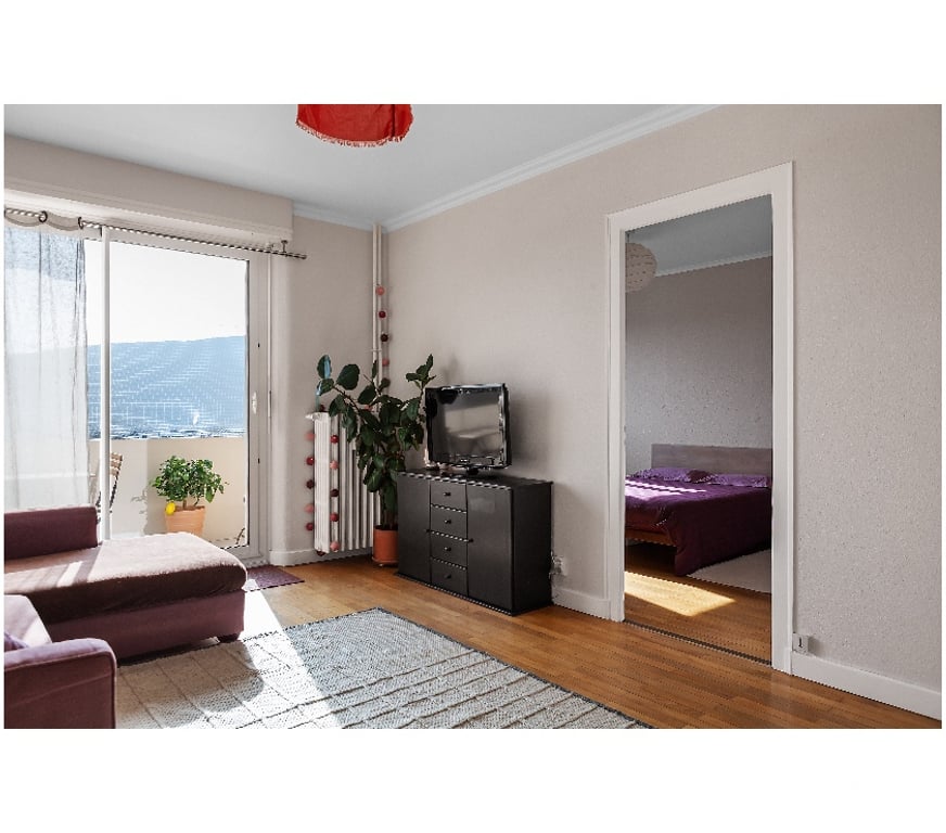 Appartements à vendre Haute-Savoie Ambilly - 74100 - Photos Vivastreet LUMINEUX T2, 51m2, TRAVERSANT, VUE IMPRENABLE, DEVANT TRAM