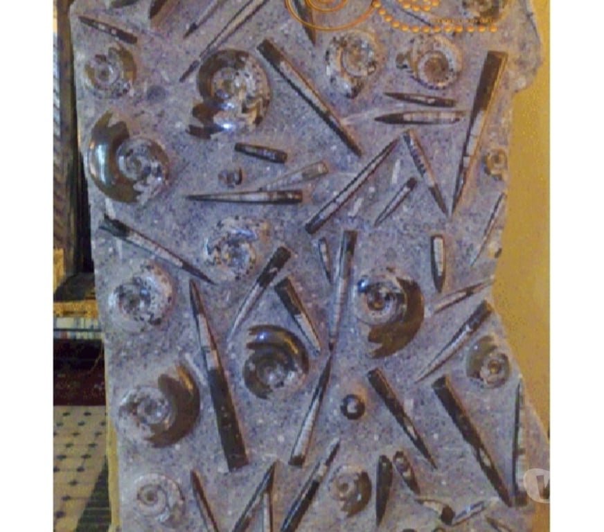 Décoration - art Var Toulon - Photos Vivastreet Plaque Murale de Fossile Ammonite en Marbre Fossilisé