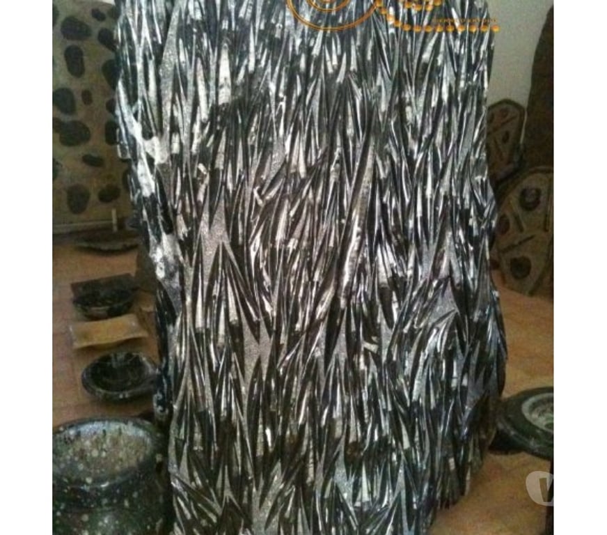 Décoration - art Var Toulon - Photos Vivastreet Plaque Murale De Fossile D'Orthoceras