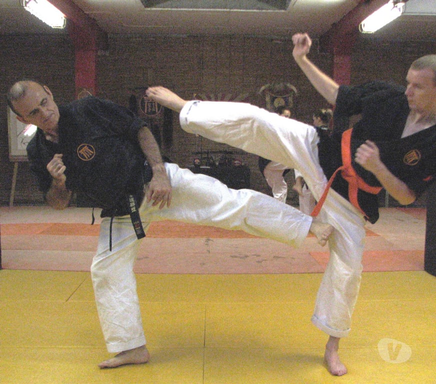Cours de sport Gironde Bordeaux - Photos Vivastreet Les Ecoles Bushido à Bordeaux