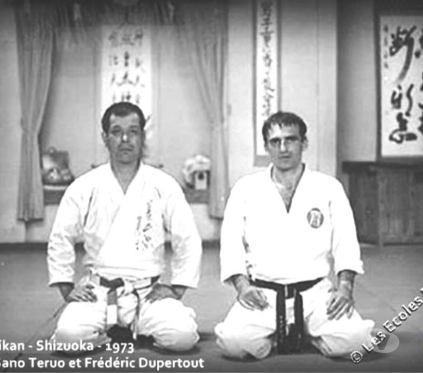 Cours de sport Gironde Bordeaux - Photos Vivastreet Les Ecoles Bushido à Bordeaux