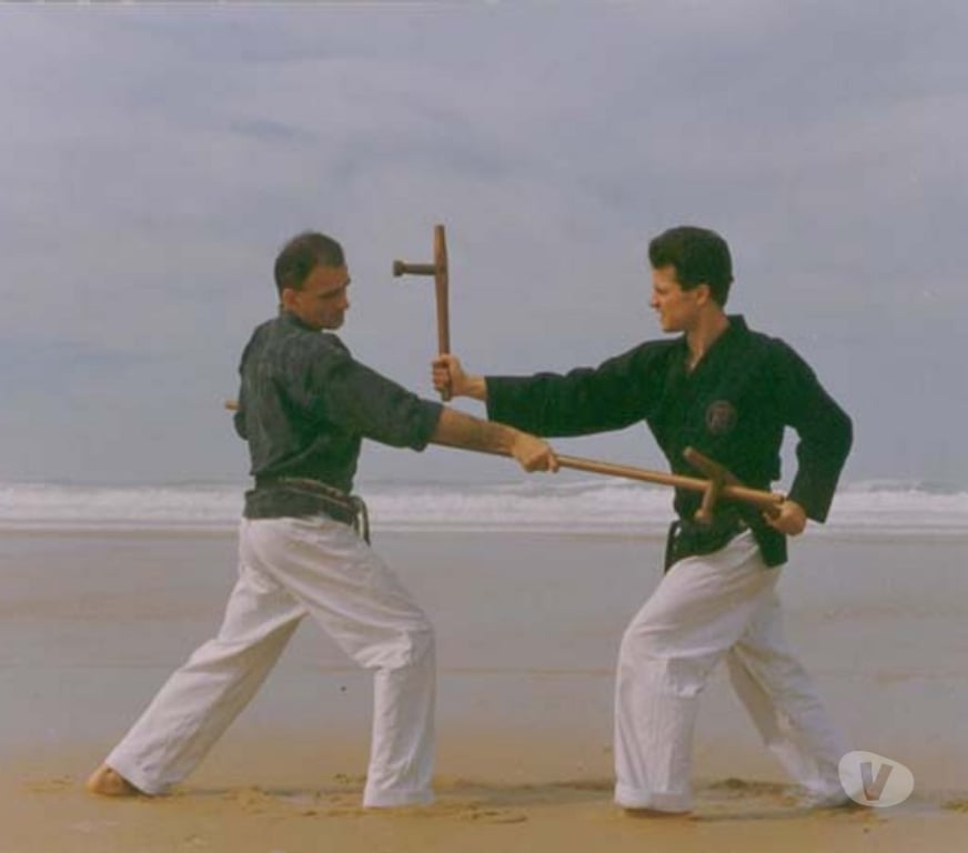 Cours de sport Gironde Bordeaux - Photos Vivastreet Les Ecoles Bushido à Bordeaux