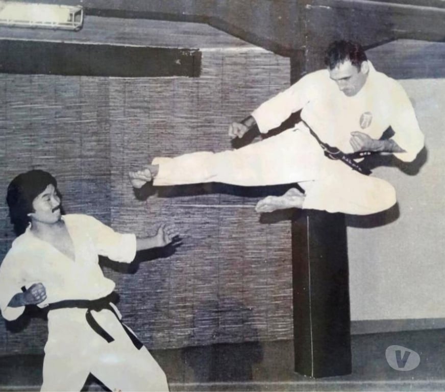 Cours de sport Gironde Bordeaux - Photos Vivastreet Les Ecoles Bushido à Bordeaux