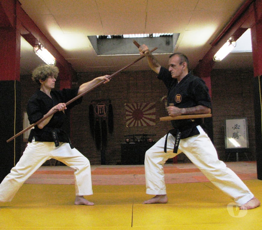 Cours de sport Gironde Bordeaux - Photos Vivastreet Les Ecoles Bushido à Bordeaux