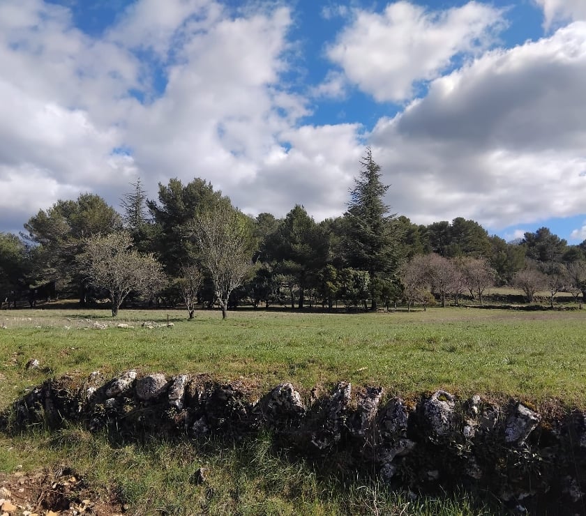 Vente Maison Var Plan d'Aups Ste Baume - 83640 - Photos Vivastreet Grande maison avec studio et piscine