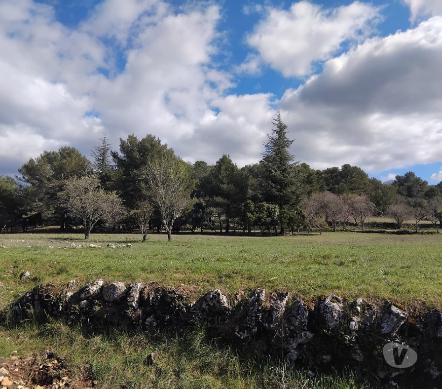 Vente Maison Var Plan d'Aups Ste Baume - 83640 - Photos Vivastreet Grande maison avec studio et piscine