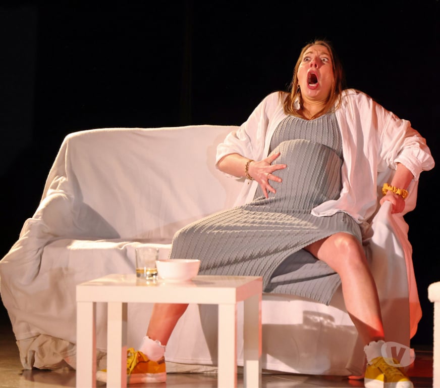 Concerts - Théâtre - Spectacles Isère Grenoble - Photos Vivastreet Les Cachottiers, une comédie de Luc CHAUMAR