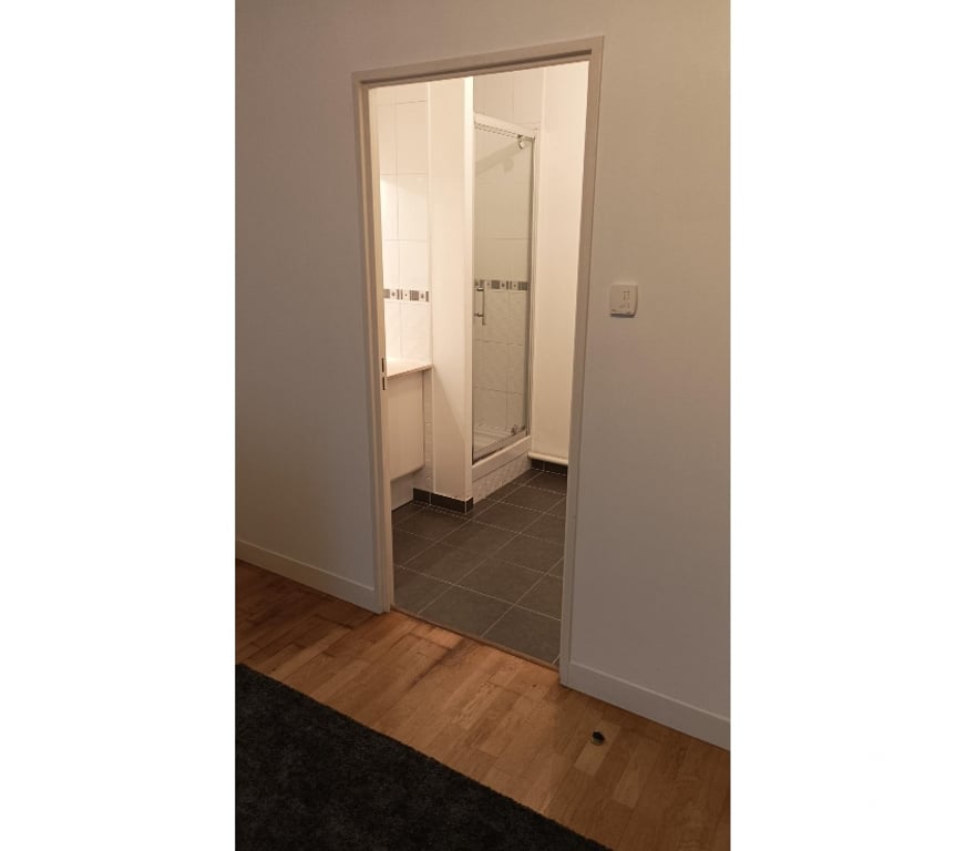 Appartement meublé Loire-Atlantique Nantes - Photos Vivastreet Appartement T1 en très bon état