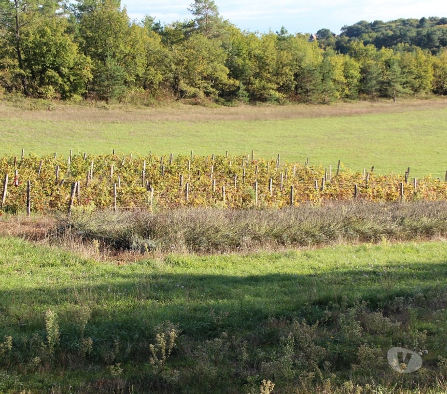 Vente Maison Dordogne Paunat - 24510 - Photos Vivastreet Propriété sans voisin proche, au calme absolu