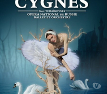 Place pour le Lac ders Cygnes