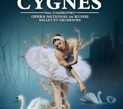Billets spectacles Metz Metz - Photos Vivastreet Place pour le Lac ders Cygnes