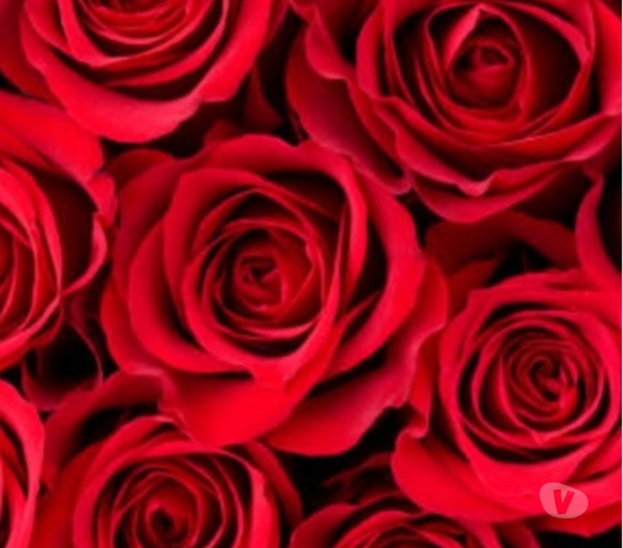 Massages Var St Cyr sur Mer - 83270 - Photos Vivastreet MASSAGE SIGNATURE