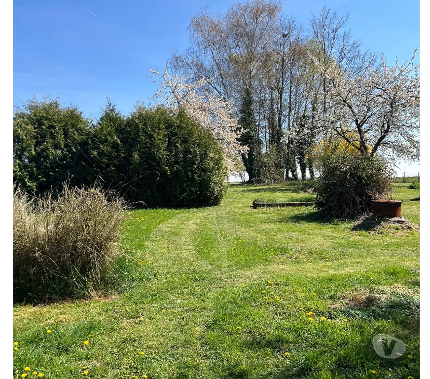 Vente Maison Marne Reuves - 51120 - Photos Vivastreet Corps de ferme 290 m² sur parc clos de 4 600 m²