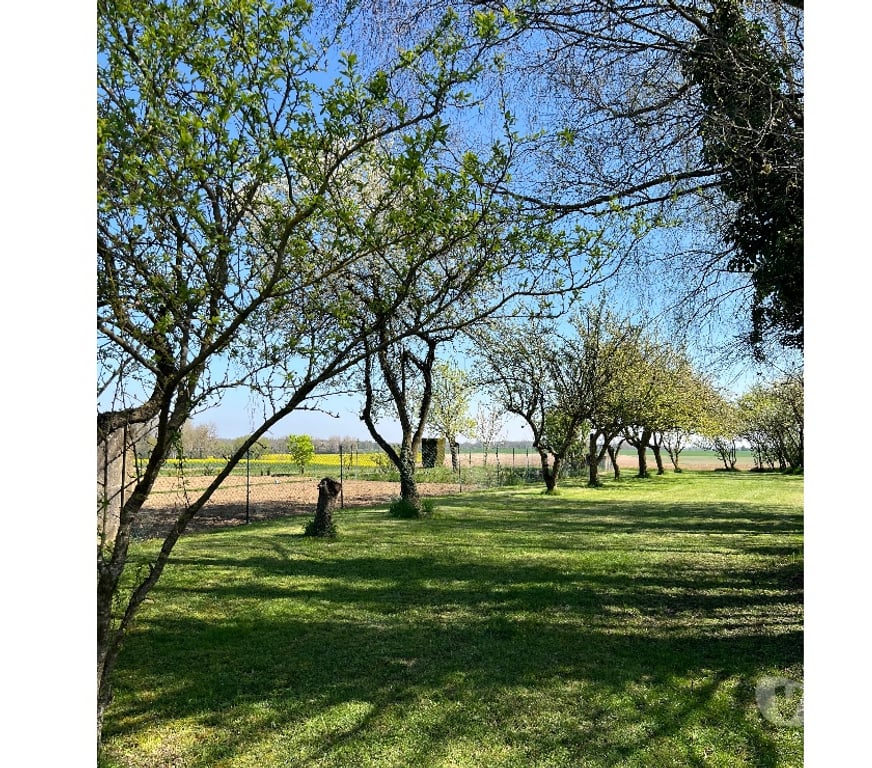 Vente Maison Marne Reuves - 51120 - Photos Vivastreet Corps de ferme 290 m² sur parc clos de 4 600 m²