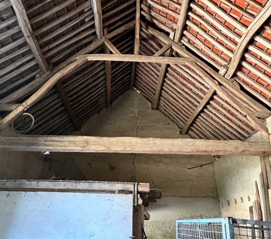 Vente Maison Marne Reuves - 51120 - Photos Vivastreet Corps de ferme 290 m² sur parc clos de 4 600 m²