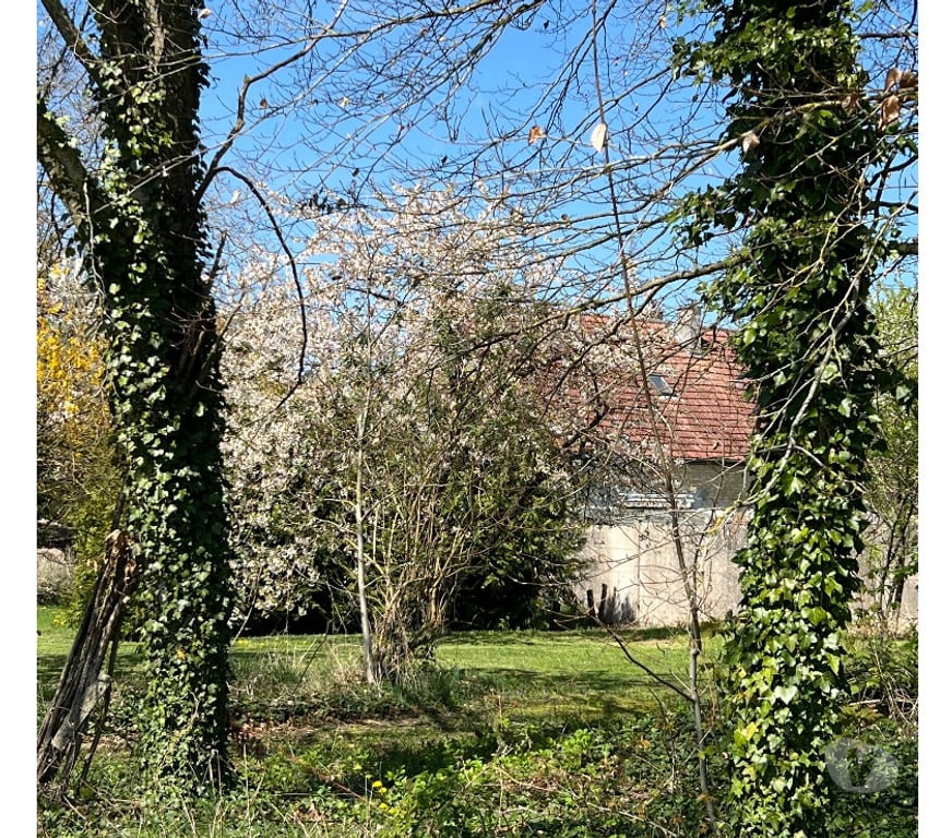 Vente Maison Marne Reuves - 51120 - Photos Vivastreet Corps de ferme 290 m² sur parc clos de 4 600 m²