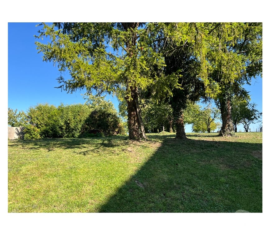 Vente Maison Marne Reuves - 51120 - Photos Vivastreet Corps de ferme 290 m² sur parc clos de 4 600 m²