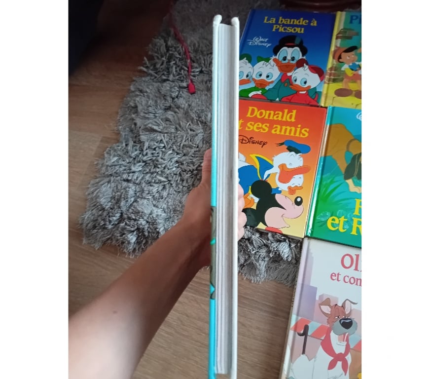 Collection Bas-Rhin Reichstett - 67116 - Photos Vivastreet Gros livre Disney