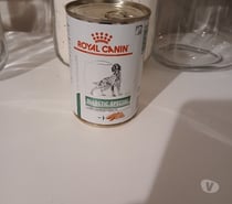 23 boites de paté pour chien diabetic