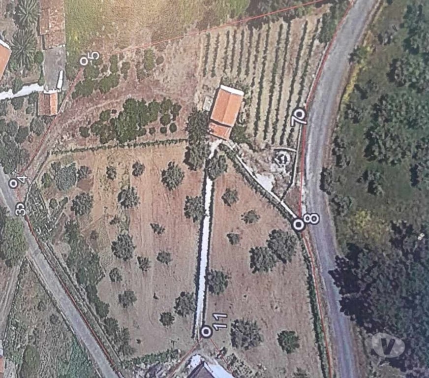 Vente Maison Portugal - Photos Vivastreet Propríété avec sa roseraie