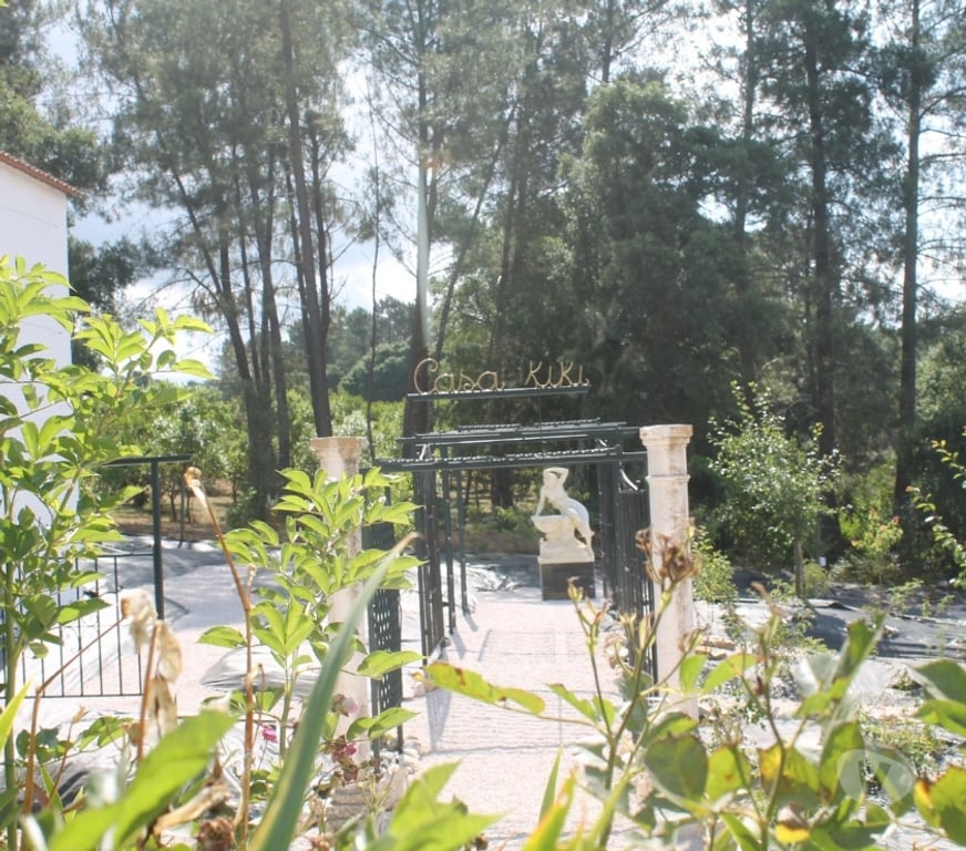 Vente Maison Portugal - Photos Vivastreet Propríété avec sa roseraie