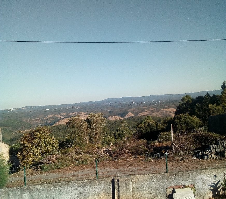 Vente Maison Portugal - Photos Vivastreet Propríété avec sa roseraie