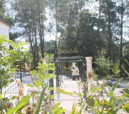 Vendre maison - Photos Vivastreet Propríété avec sa roseraie