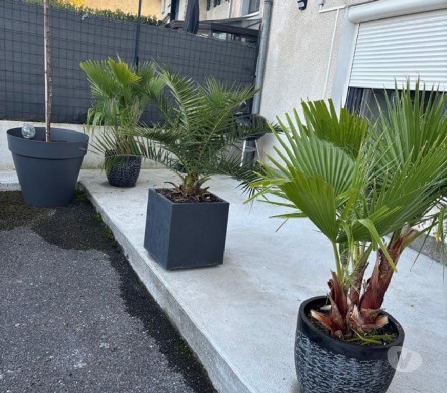 Appartement meublé Haute-Savoie Viry - 74580 - Photos Vivastreet Location F2 Meublé a Viry Frontière Suisse