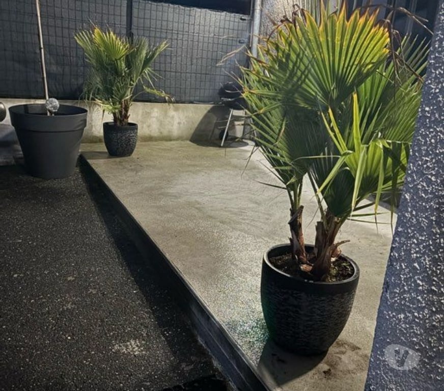 Appartement meublé Haute-Savoie Viry - 74580 - Photos Vivastreet Location F2 Meublé a Viry Frontière Suisse