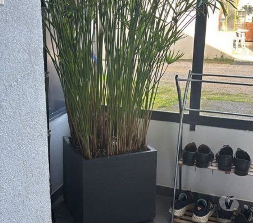 Appartement meublé Haute-Savoie Viry - 74580 - Photos Vivastreet Location F2 Meublé a Viry Frontière Suisse