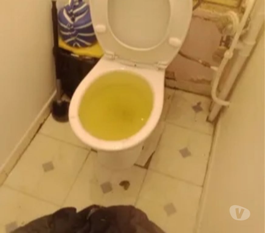 Artisans & dépannages Val-d'Oise Taverny - 95150 - Photos Vivastreet Débouchage canalisations