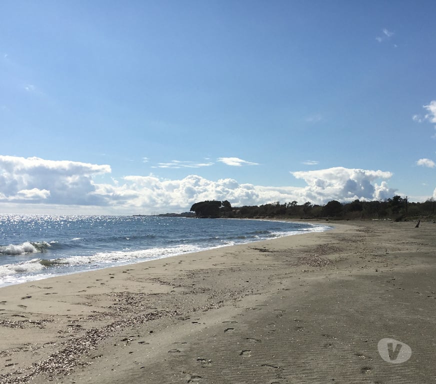 Vente Maison Haute-Corse Santa Maria Poggio - 20221 - Photos Vivastreet VENTE MAISON CORSE Bord de mer