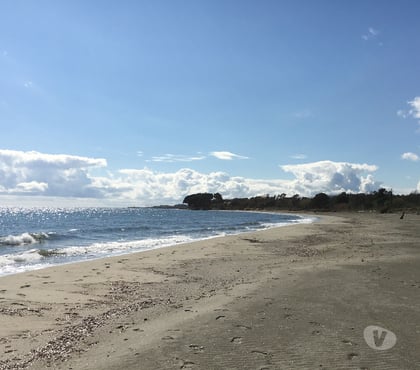 Achat maison Santa Maria Poggio Haute-Corse - Photos Vivastreet VENTE MAISON CORSE Bord de mer