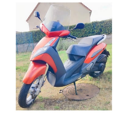 Scooter à vendre Le Breil sur Merize Sarthe - Photos Vivastreet 125 Peugeot Geopolis