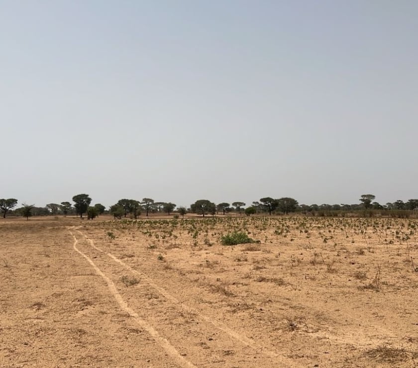 Vente Terrain - Photos Vivastreet Terrain hectare Mbour Sénégal