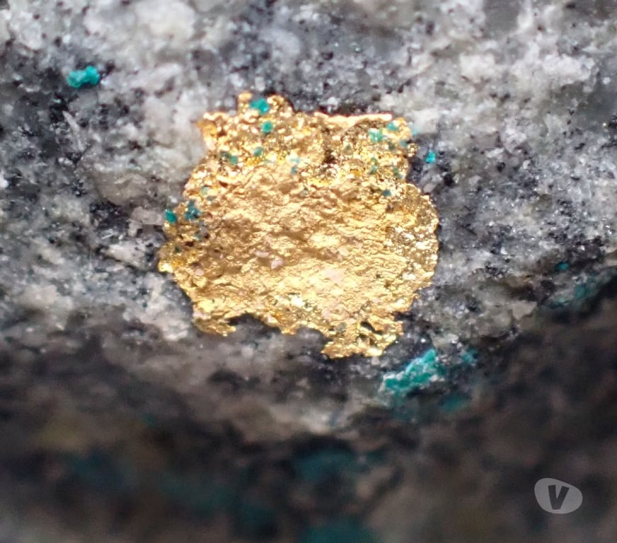 Collection Meurthe-et-Moselle Bertrichamps - 54120 - Photos Vivastreet Or natif & Atacamite , La Compagniã Mine Sierra Gorda Chili