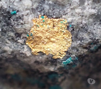 Collections Bertrichamps Meurthe-et-Moselle - Photos Vivastreet Or natif & Atacamite , La Compagniã Mine Sierra Gorda Chili