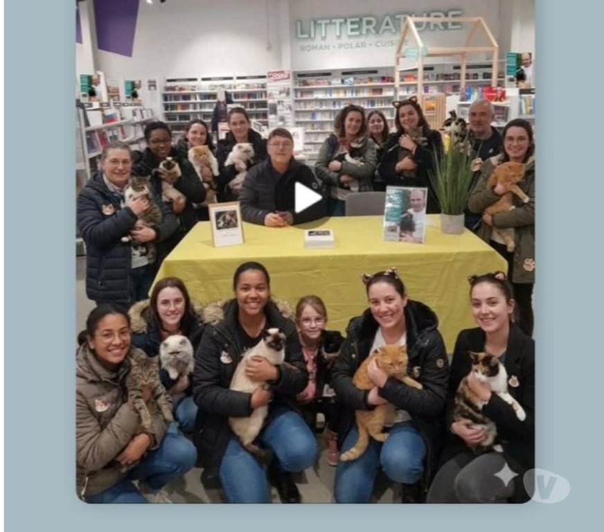 Livres occasion Isère Marcilloles - 38260 - Photos Vivastreet Les animaux au coeur de mon travail. Tome 1