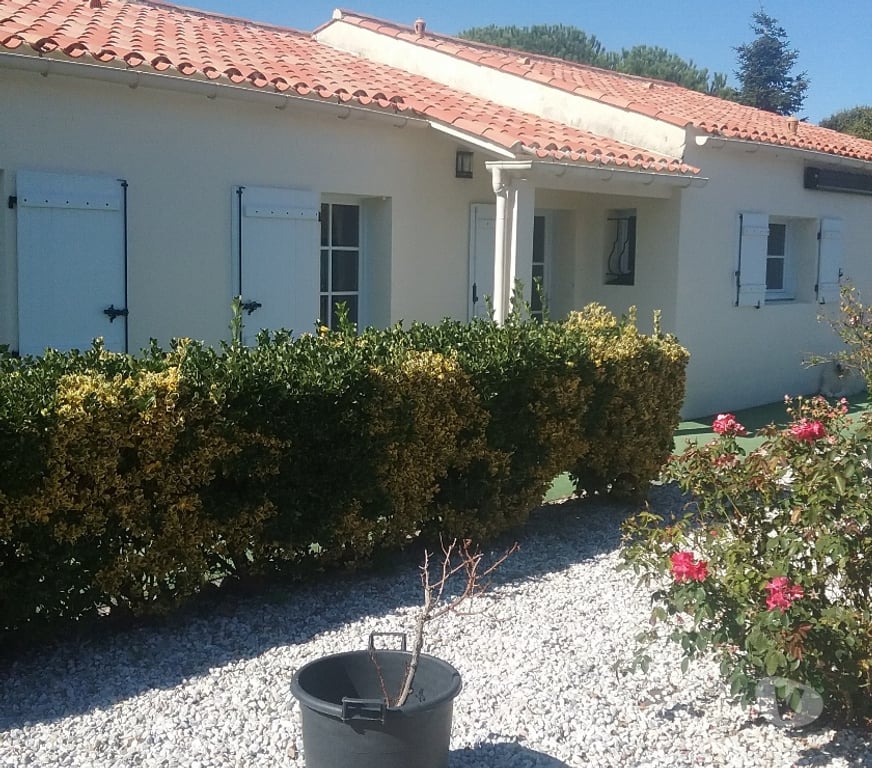 Vente Maison Vendée Ste Foy - 85150 - Photos Vivastreet maison de PLAIN-PIED avec piscine