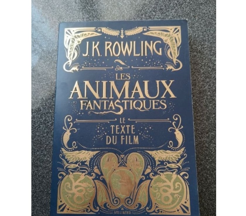Livres occasion Lille Lille - Photos Vivastreet Les Animaux Fantastiques ( Le texte du film)