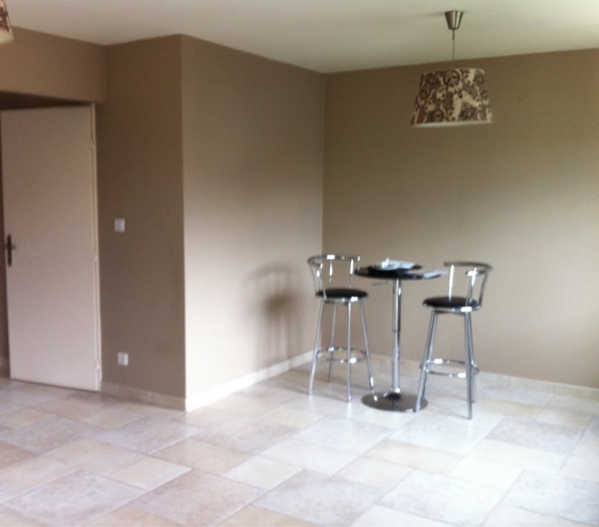 Location appartement Bas-Rhin Strasbourg - Photos Vivastreet Appartement T2 non meublé Strasbourg