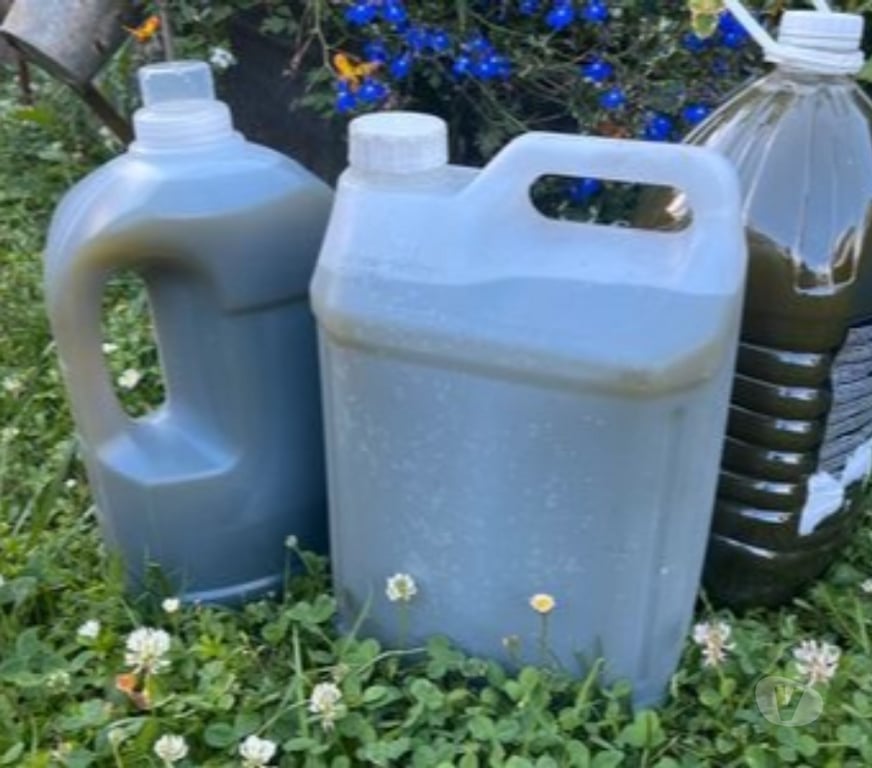  Val-de-Marne Le Perreux sur Marne - 94170 - Photos Vivastreet Vente purin ortie bio