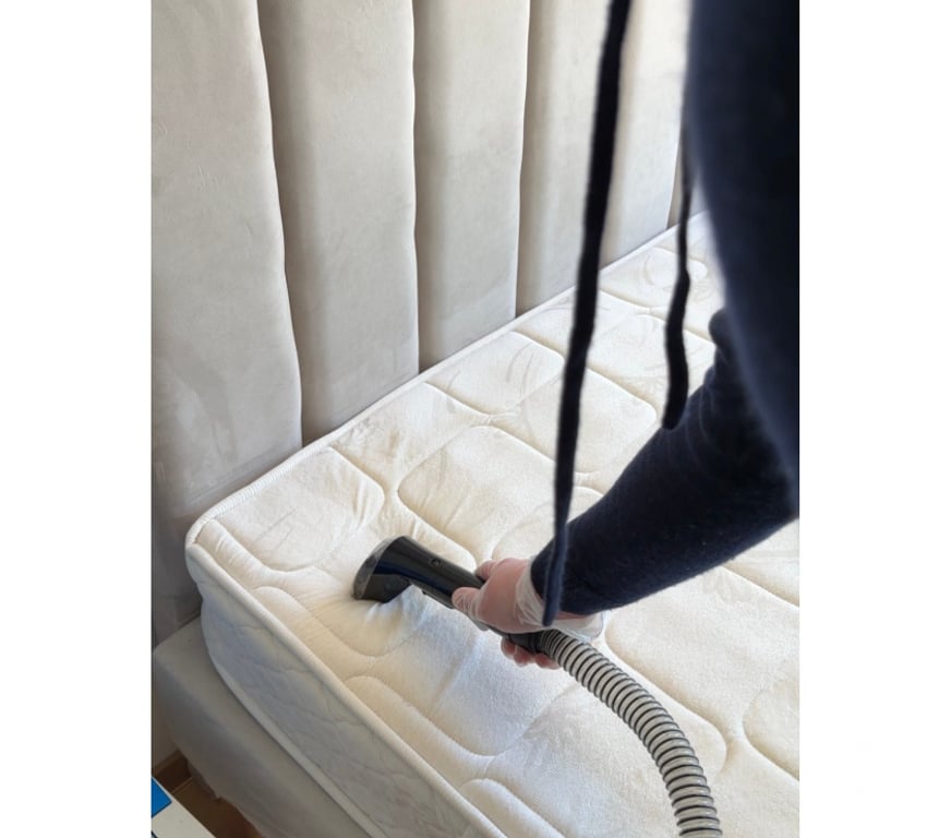 Services ménagers Rhône Lyon - Photos Vivastreet Nettoyage canapé, tapis & matelas à domicile– Lyon Ain