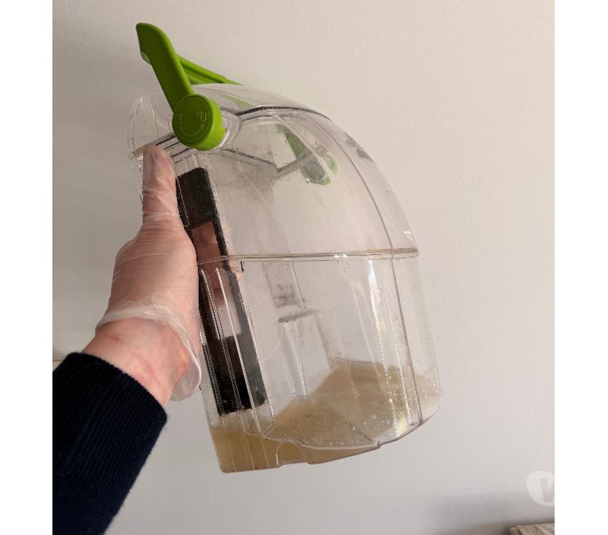 Services ménagers Rhône Lyon - Photos Vivastreet Nettoyage canapé, tapis & matelas à domicile– Lyon Ain