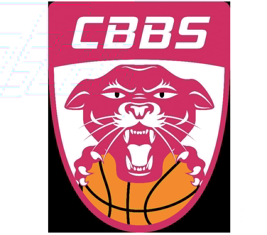 Evenements sportifs Cher Bourges - 18000 - Photos Vivastreet 2 places Bourges Basket vs Charnay dimanche à 17h30