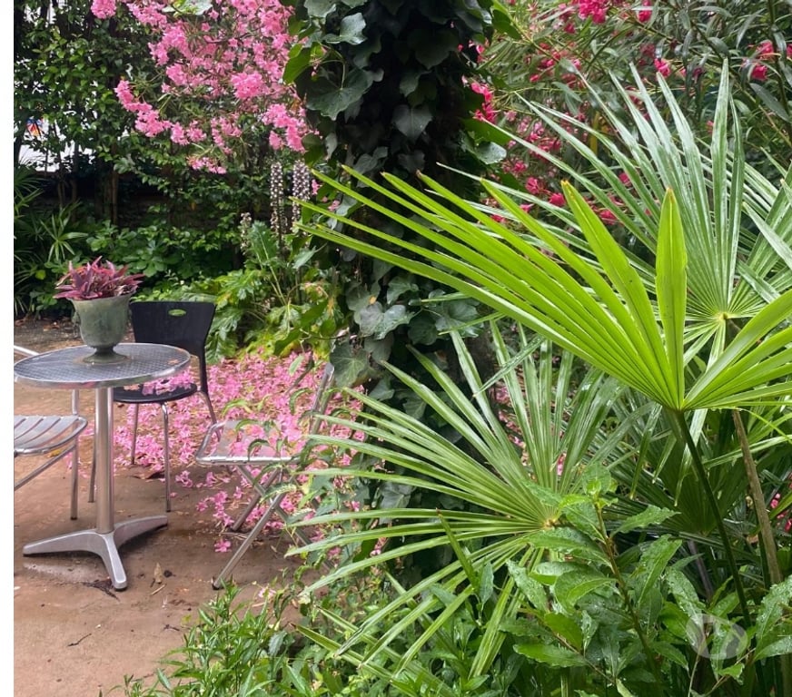 Appartements à vendre Haute-Garonne Toulouse - Photos Vivastreet T2 avec jardin 100M2 + terrasse 30M2 - compans caffarelli