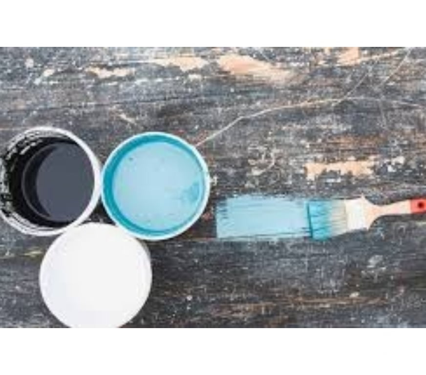 Déménageurs Indre-et-Loire La Chapelle sur Loire - 37140 - Photos Vivastreet Aide pour vider et nettoyer maison, appartement, garage