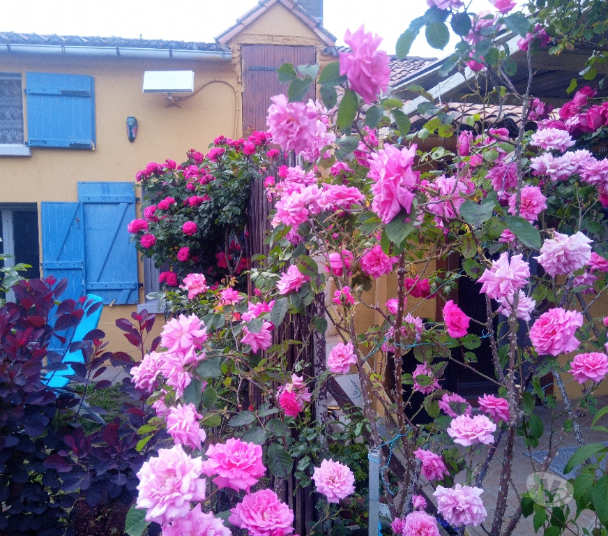 Vente Maison Deux-Sèvres Adilly - 79200 - Photos Vivastreet Adorable maison atypique au calme