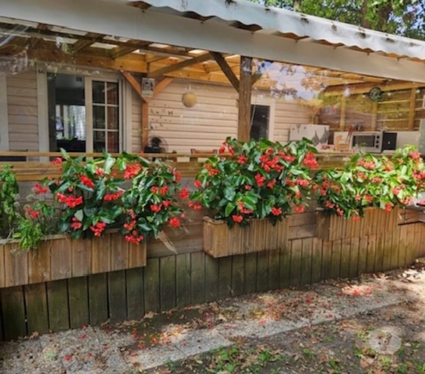 location saisonniere Charente-Maritime St Augustin - 17570 - Photos Vivastreet Mobil home a Saint Augustin